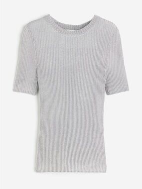 H&M Silver Metallic Rib-Knit Short Sleeve Top